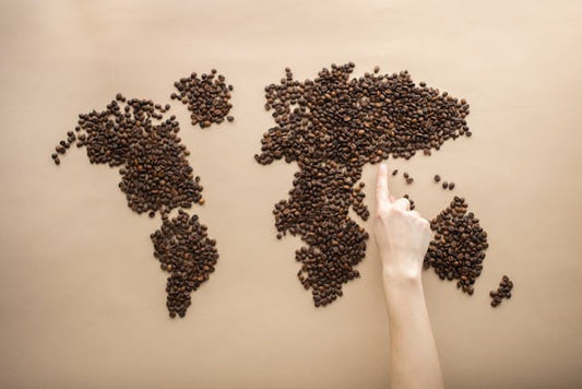 Exploring Global Coffee Flavors: A World Tour